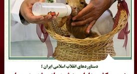 پنجمین کشور دارای بز شبیه‌سازی شده در جهان