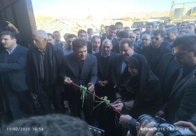 معاون علمی رئیس جمهور: بهره برداری از کارخانه «فولاد زاگرس ایوان»

