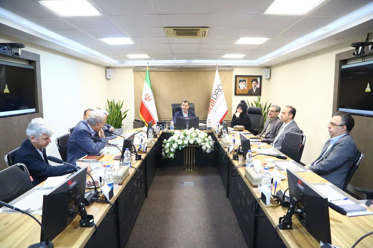 سمیعی نژاد در نشست معاونان وزرای صمت و اقتصاد:منابع حاصل از واگذاری‌ها را به ایمیدرو بازگردانید

