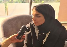 سرمایه‌ گذاری در معادن عناصر نادر خاکی در دستور کار شرکت تجلی است/ ضرورت همکاری با شرکت های دانش بنیان