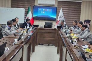 بررسی ساختار سازمانی و طبقه‌بندی مشاغل در مجتمع سنگ‌آهن سنگان

