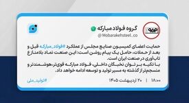 حمایت اعضای کمیسیون صنایع مجلس از عملکرد فولادمبارکه