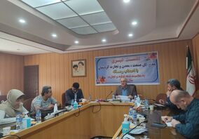 ۴۲ درصد اقتصاد کردستان وابسته به حوزه صنعت، معدن و تجارت است

