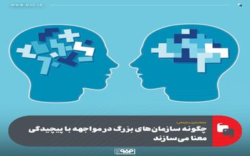 معناسازی سازمانی/چگونه سازمان‌های بزرگ در مواجهه با پیچیدگی معنا می‌سازند