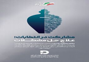 مشارکت در انتخابات، علاج حل مشکلات