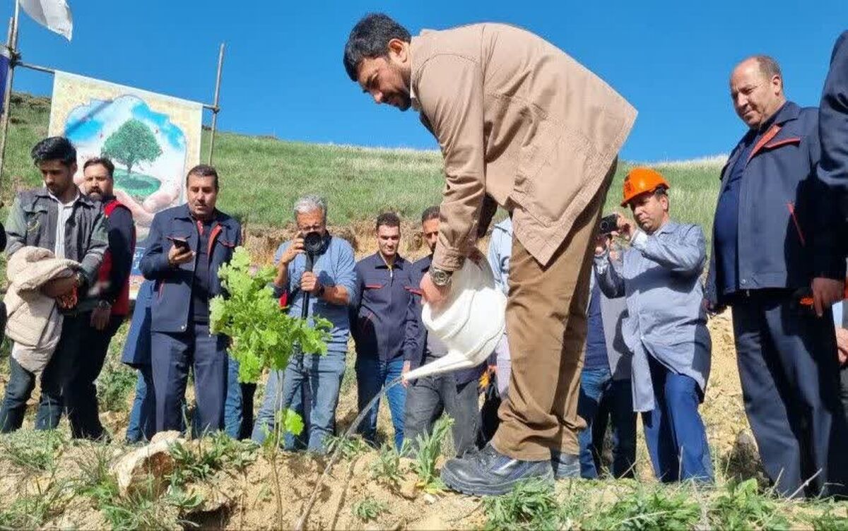 عملیات جنگل‌کاری 400 هکتاری مس سونگون در ارسباران آغاز شد