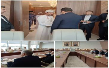 وزیر صنعت، معدن و تجارت با وزیر انرژی عمان دیدار و گفتگو کرد