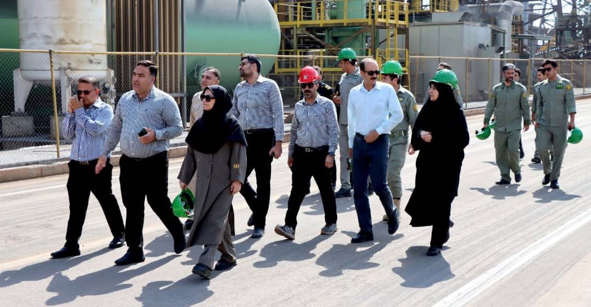 سه ماه تلاش بیوقفه؛ نجات گور ایرانی در دل خشکسالی