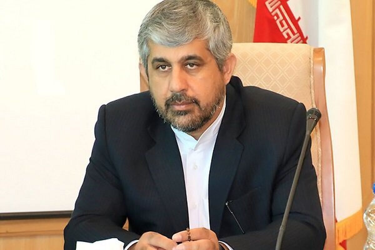 سعیدی: پرداخت کامل حقوق دولتی توسط شرکت‌های معدنی ضروری است