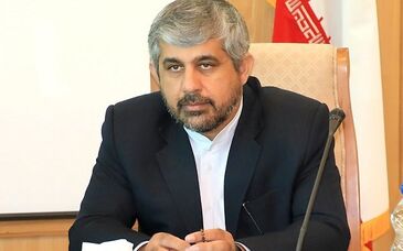 سعیدی: پرداخت کامل حقوق دولتی توسط شرکت‌های معدنی ضروری است