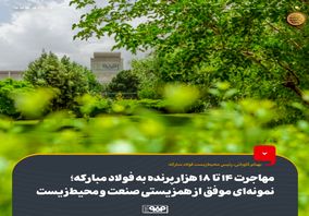 مهاجرت 14 تا 18 هزار پرنده به فولاد مبارکه؛ نمونه‌ای موفق از همزیستی صنعت و محیط‌زیست