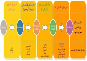 کشف راه‌های جدید ذخایر اقتصادی مس با تلاش محققان ایرانی