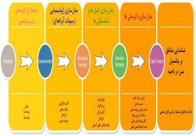 کشف راه‌های جدید ذخایر اقتصادی مس با تلاش محققان ایرانی