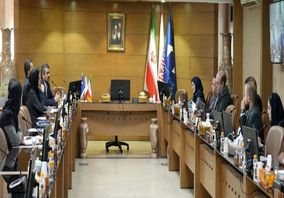 غلامرضایی: دستورالعمل‌های دقیق، لازمه اجرای هدفمند مسئولیت اجتماعی در معادن است