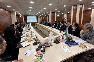 تولید 25 میلیون تن کنسانتره و گندله در گل‌گهر؛ پروژه 3 میلیون تنی ورق توسعه آهن و فولاد گل‌گهر به بهره‌برداری می‌رسد

