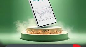 وتوکا سود ۱۴۰۳ سهام‌داران را پرداخت کرد