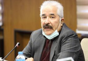 دولت میادین گازی را به فولادی‌ها بفروشد/ اماده جذب سرمایه‌های سرگردان مردم هستیم