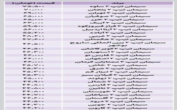 جدیدترین قیمت سیمان اعلام شد + جدول