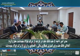 آمادگی بانک ملت برای گسترش همکاری مالی ، اقتصادی و ارزی با شرکت فولاد سفیددشت

