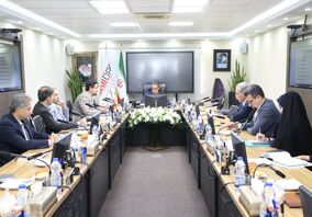 صندوق بیمه معدنی، تنوع در تامین منابع مالی را اولویت قرار دهد
