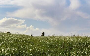  استخراج مواد معدنی از فندقلو صحت ندارد