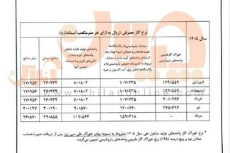 گاز فولادی‌ها باز هم گران شد!

