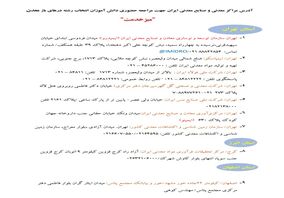 برای انتخاب رشته از «درهای باز معدن» وارد شوید / جامعه معدن و صنایع معدنی کشور آماده معرفی رشته‌های این حوزه به کنکوری‌ها

