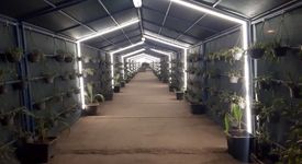 مسیر عبور کارکنان فولاد هرمزگان با طراحی سبز بازآفرینی شد