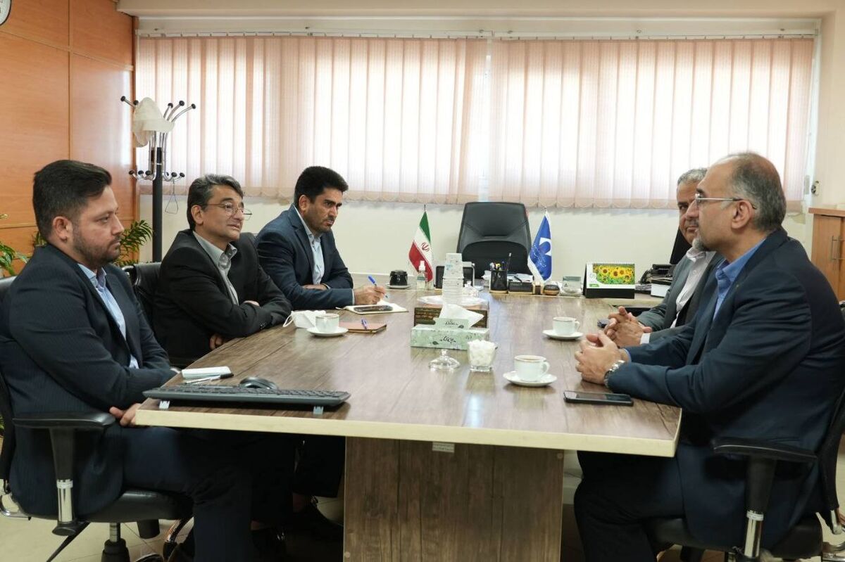 مدیر طرح احیای معادن خبر داد:از ظرفیت‌های بانکی برای احیای معادن غیرفعال استفاده می‌کنیم