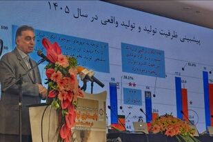مدیرعامل سرمایه‌گذاری توسعه معادن و فلزات: تداوم روند فعلی، صنعت فولاد را با کاهش رقابت‌پذیری و از دست رفتن سهم بازار مواجه می‌کند

