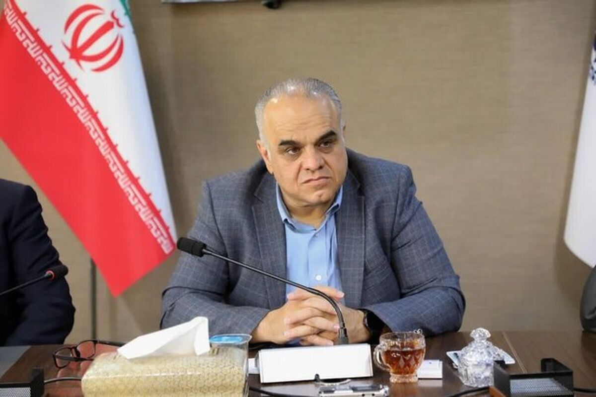 کارگروهی جهت رفع مشکلات معادن در فارس تشکیل شود

