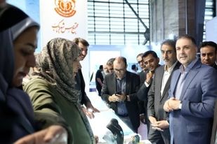 توسعه منطقه‌ای و تقویت زنجیره