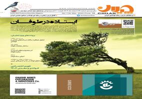 ایستاده در طوفان / شماره نوروزی مجله «چیلان» منتشر شد