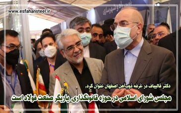 مجلس شورای اسلامی در حوزه قانونگذاری، یاریگر صنعت فولاد است
