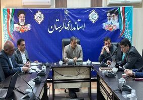 از ظرفیت کارگروه طرح احیا برای حل مشکلات معادن استفاده می‌کنیم