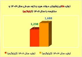 رشد چشمگیر تولید طلا در شرکت‌های زیرمجموعه ایمیدرو