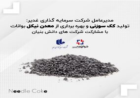 تولید کک سوزنی و بهره برداری از معدن نیکل بوانات با مشارکت شرکت های دانش بنیان بزودی آغاز می شود