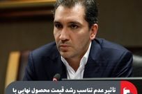 تأثیر عدم تناسب رشد قیمت محصول نهایی با هزینه‌های انرژی بر حاشیه سود شرکت‌ها
