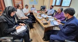 بررسی طرح اولیه ایجاد زنجیره ارزش الماس در کشور