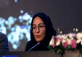 انتقاد مدیر زیر ساخت ایمیدرو از قطعی گاز نیروگاه فولاد مبارکه / چالش‌ها با نگاه ملی دیده شود