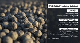 فروش ۶ ماهه؛ رشد ۹۷ درصدی درآمد

