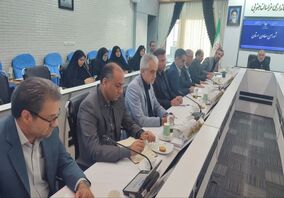 خراسان جنوبی مستعد در بحث معادن

